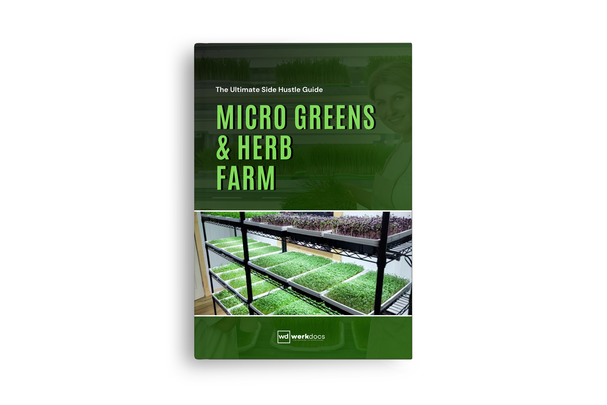 Micro Greens & Herb Farm